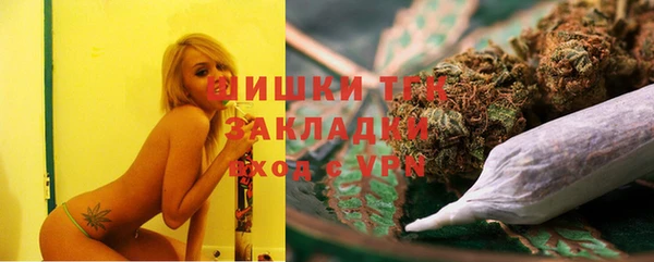 хмурый Бородино