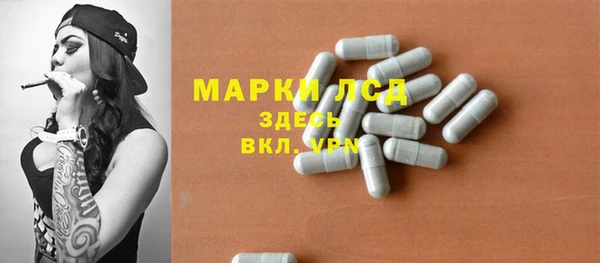 хмурый Бородино