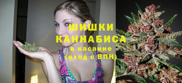 ГАЛЛЮЦИНОГЕННЫЕ ГРИБЫ Белая Холуница