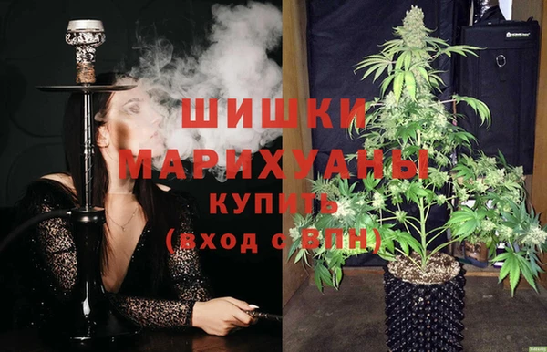хмурый Бородино
