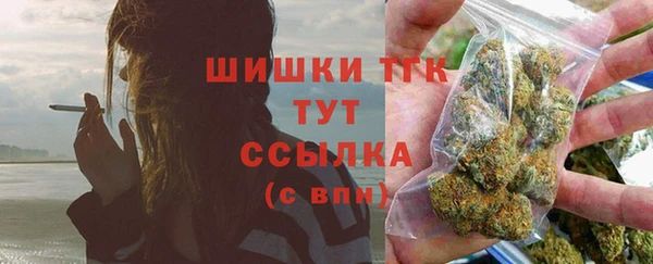 хмурый Бородино