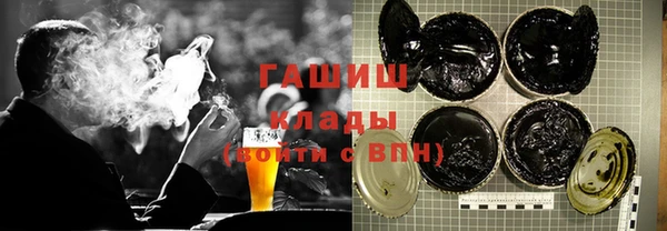 хмурый Бородино