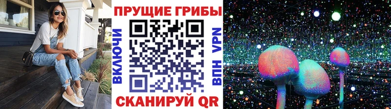 Галлюциногенные грибы Psilocybine cubensis  Гатчина 